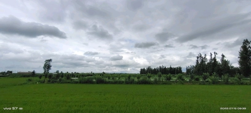 4953df92525f784480c56312b9a1ff89.jpg